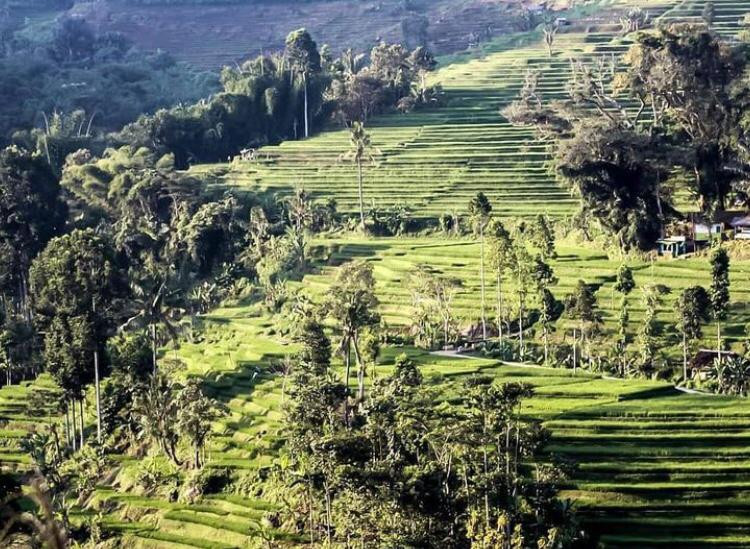 Wisata Ciwangi
